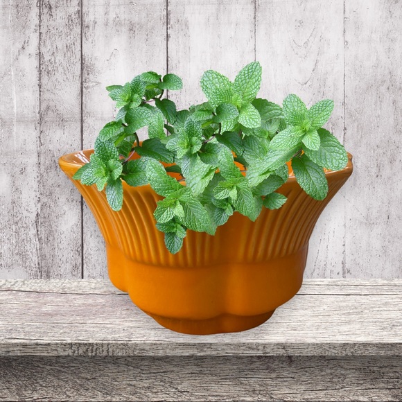VINTAGE Haeger Orange Scalloped Planter / Flower Pot - Picture 4 of 5